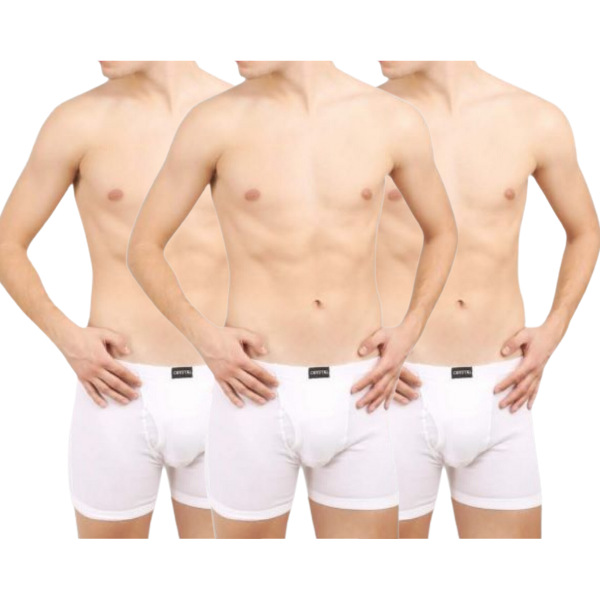 CA-205 Silver Trunk -White-(Pack of 3)
