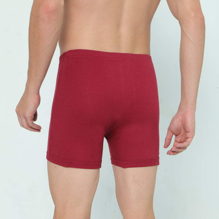 Silver Trunk - Maroon